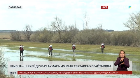 Павлодар облысында 45 мың га жерге шыбын-шіркейге қарсы дәрі себіледі