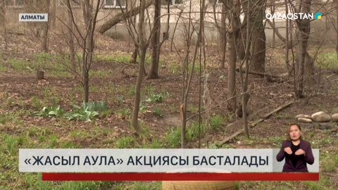 Алматыда «Жасыл аула» акциясы басталады