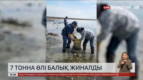 Қостанай облысында өлі балықтың 7 тоннасын жинаған