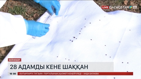 Қостанай облысында 28 адамды кене шаққан