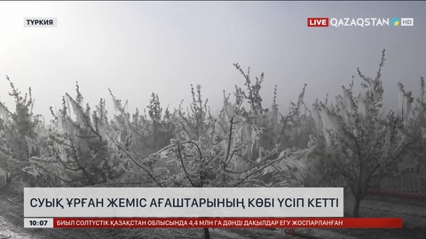 Түркияның 32 облысында дақылдар мен жеміс ағаштары үсіп кеткен