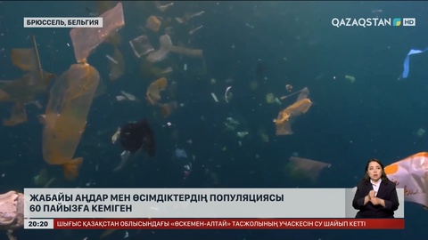 Жабайы аңдар мен өсімдіктердің популяциясы 60 пайызға кеміген
