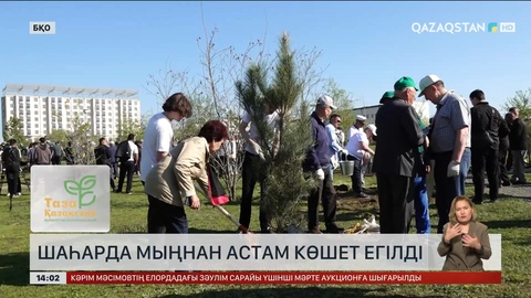 Оралда мыңнан астам көшет егілді