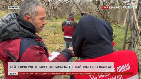 Түркияның кей өңірлерінде жеміс ағаштарының 60 пайызын үсік шалған