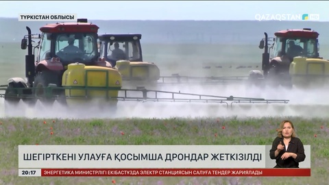 Түркістан облысында шегірткені улауға қосымша дрондар жеткізілді