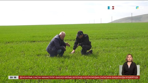 ШҚО-да ауыл шаруашылығы жерлері тозып барады