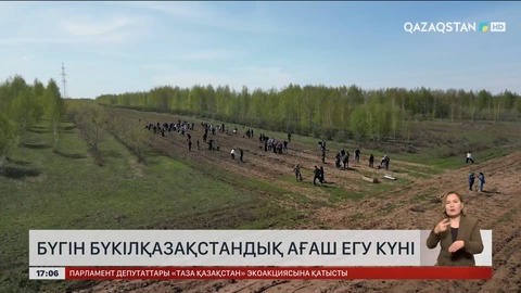Бүгін Бүкілқазақстандық ағаш егу күні