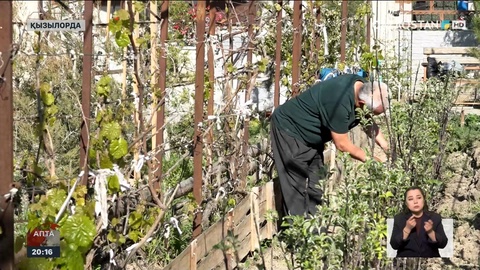 Қызылордалық бағбан ұзақ жыл бойы өсімдіктер әлемін зерттеген