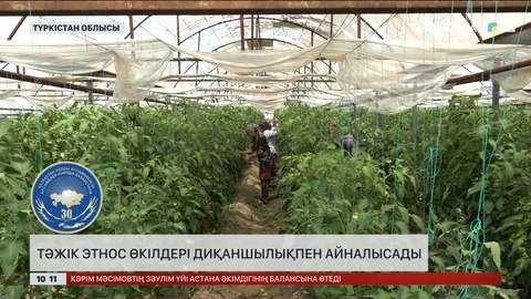 Түркістан облысының Жетісай ауданында 3 мыңнан аса тәжік этнос өкілі тұрады