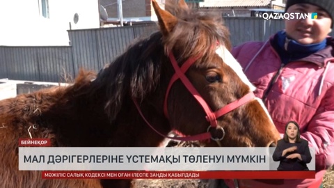 Қазақстанда мал дәрігерлеріне үстемақы төленуі мүмкін