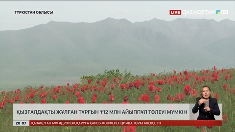 Түркістандық тұрғын қызғалдақты жұлғаны үшін 12 млн теңге айыппұл төлеуі мүмкін