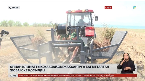 Қонаев қаласының орман климаттық жағдайын жақсартуға бағытталған жоба іске қосылды