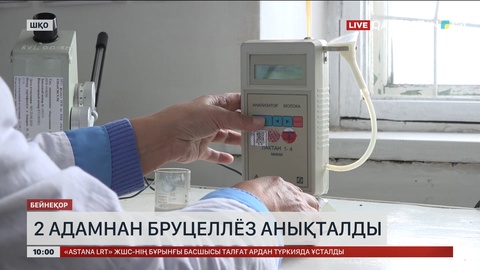 Шығыс Қазақстанда 2 адамнан бруцеллёз дерті анықталды