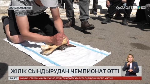 Ақмола облысында жілік сындырудан чемпионат өтті