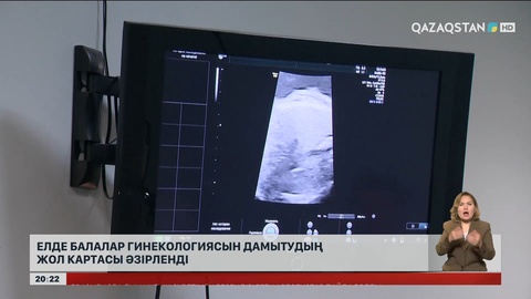 Елде балалар гинекологиясын дамытудың жол картасы әзірленді