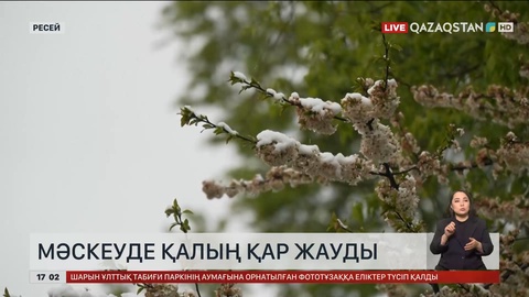 Мәскеуде қалың қар жауды