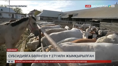 Түркістан облысында субсидияға бөлінген 271 млн теңге жымқырылған