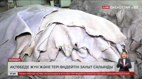 Ақтөбеде жүн мен тері өңдейтін ірі зауыт салынды