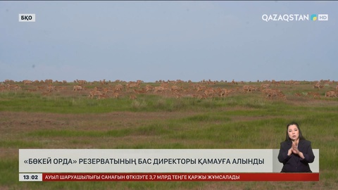 БҚО-да «Бөкей орда» резерватының бас директоры қамауға алынды