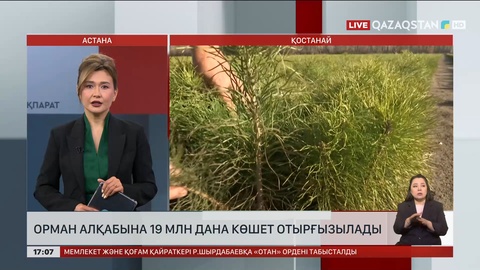 Қостанай облысында 19 млн көшет егетін болды