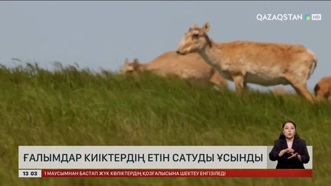 Ғалымдар киіктердің етін сатуды ұсынды