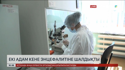 Шығыс Қазақстанда 800-ге жуық баланы кене шаққан