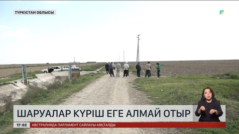 Түркістан облысында шаруалар күріш еге алмай отыр