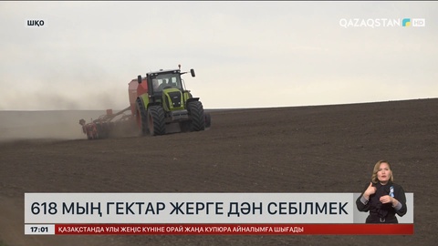 ШҚО-да 618 мың гектар жерге дән егіледі