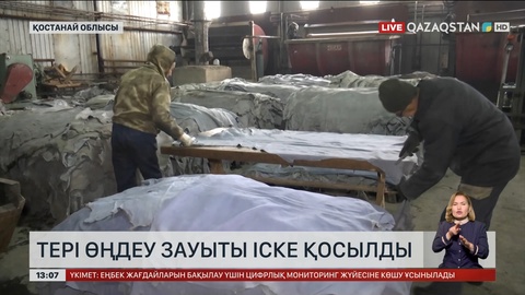 Арқалықта тері өңдеу зауыты іске қосылды