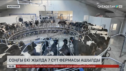 Қостанайда екі жылда 7 сүт фермасы ашылды