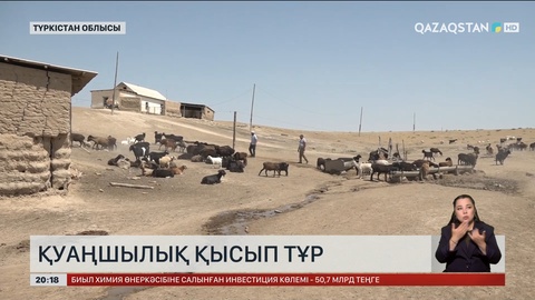 Түркістан облысын қуаңшылық қысып тұр