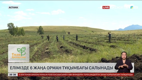 Елімізде 6 жаңа орман тұқымбағы салынады