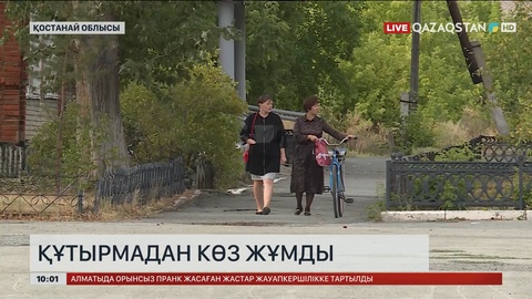 Қостанайда мысық тістеп алған әйел құтырмадан көз жұмды