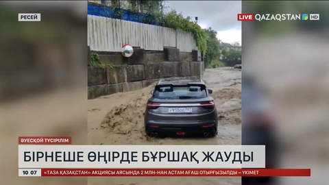 Ресейдің бірнеше өңірінде бұршақ жауды