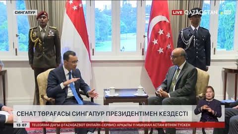 Сенат төрағасы Сингапур Президентімен кездесті
