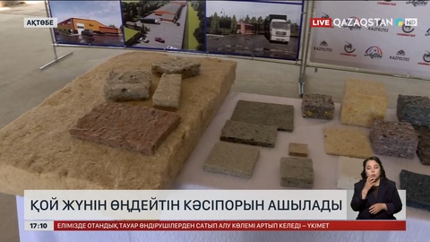 Ақтөбеде қой жүнін өңдейтін кәсіпорын ашылады