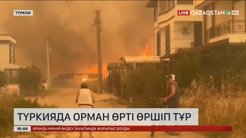 Түркияда орман өрті өршіп тұр