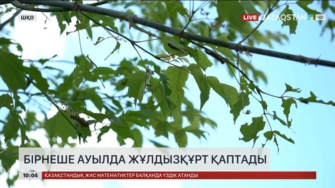 Шығыс Қазақстанда бірнеше ауылда жұлдызқұрт қаптады