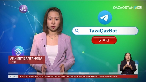 TazaQazBot телеграм чат-ботына 19 мыңнан аса өтінім түскен
