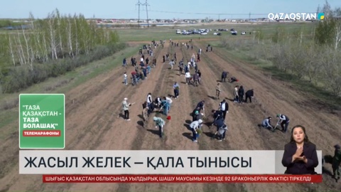 Астанада ағаш көбейіп, қала жасылданып келеді