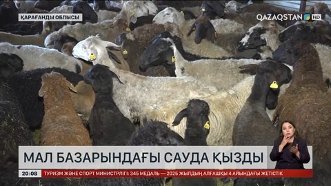 Құрбан айт – 2025: Мал базарларындағы сауда қызды