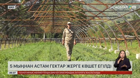 ШҚО-да 5 мың гектардан аса жерге көшет егілген