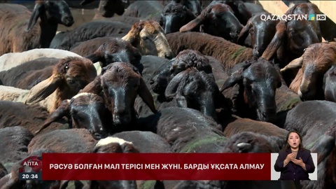 Малдың терісі мен жүнінен экспорттық баж салығы алынып тасталды