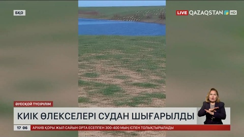 БҚО-да киіктің 800-ден астам өлексесі судан шығарылды