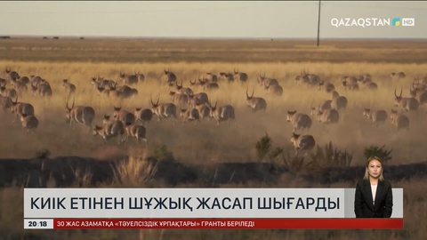 БҚО-да киік етінен шұжық жасап шығарды