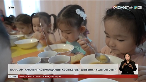 БҚО-да балалар тамағын тасымалдаушы кәсіпкерлер шығынға ұшырап отыр