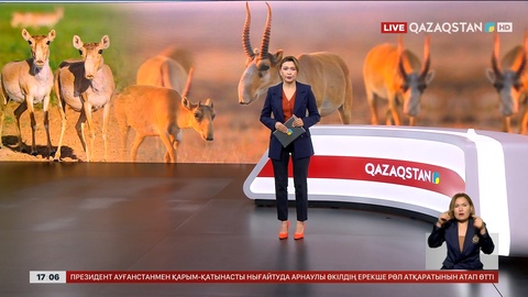 Киік етінің бағасы 1600 теңге деп бекітілді