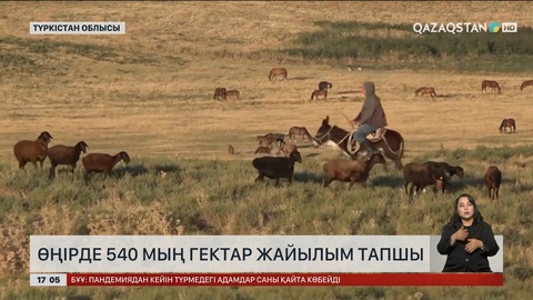 Түркістан облысында 540 мың гектар жайылым тапшы