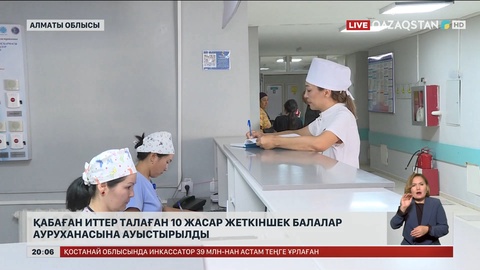 Алматы облысында қабаған иттер талаған 10 жасар жеткіншек балалар ауруханасына ауыстырылды