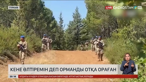 Түркиядағы апапат өртке кінәлі адам анықталды